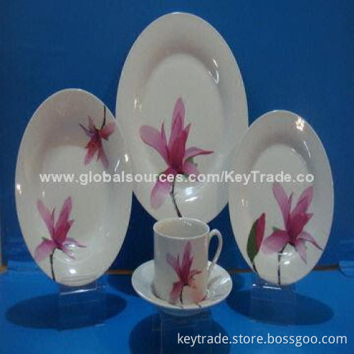 Fine Porcelain 20-piece Dinner Set in Rim-shaped with Decal